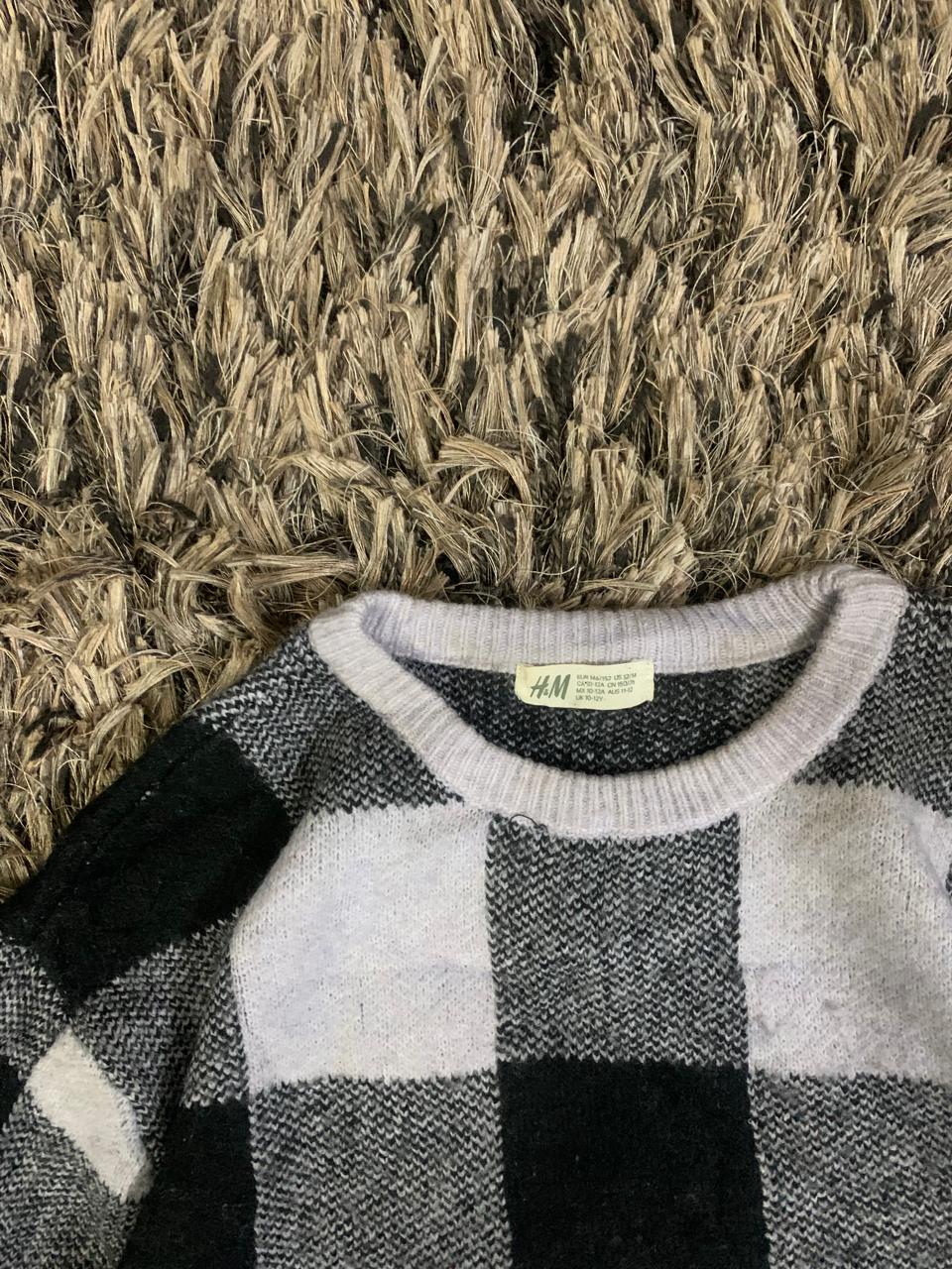 H&M BRAND HEATED Sweater (Thrift)
